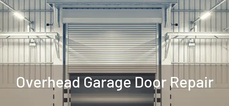  Overhead Garage Door Repair 